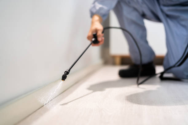 Licensed Pest Control service in Blue Ridge, GA - Show Me Pest Control
