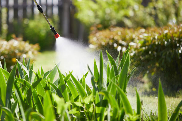 24/7 Emergency Wasp Removal experts in Blue Ridge, GA